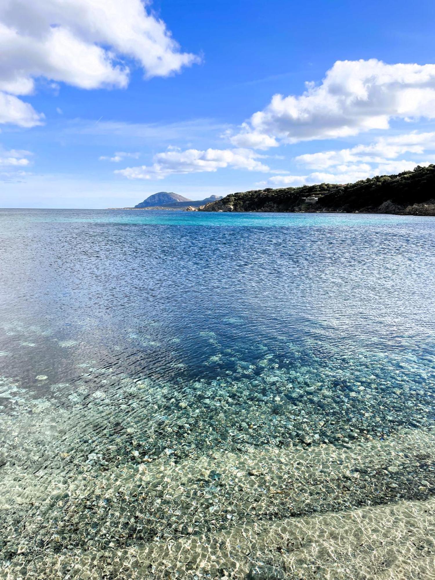 Bellissimo Appartamento Con Veranda Privata Al Centro Di Porto Rotondo Esterno foto